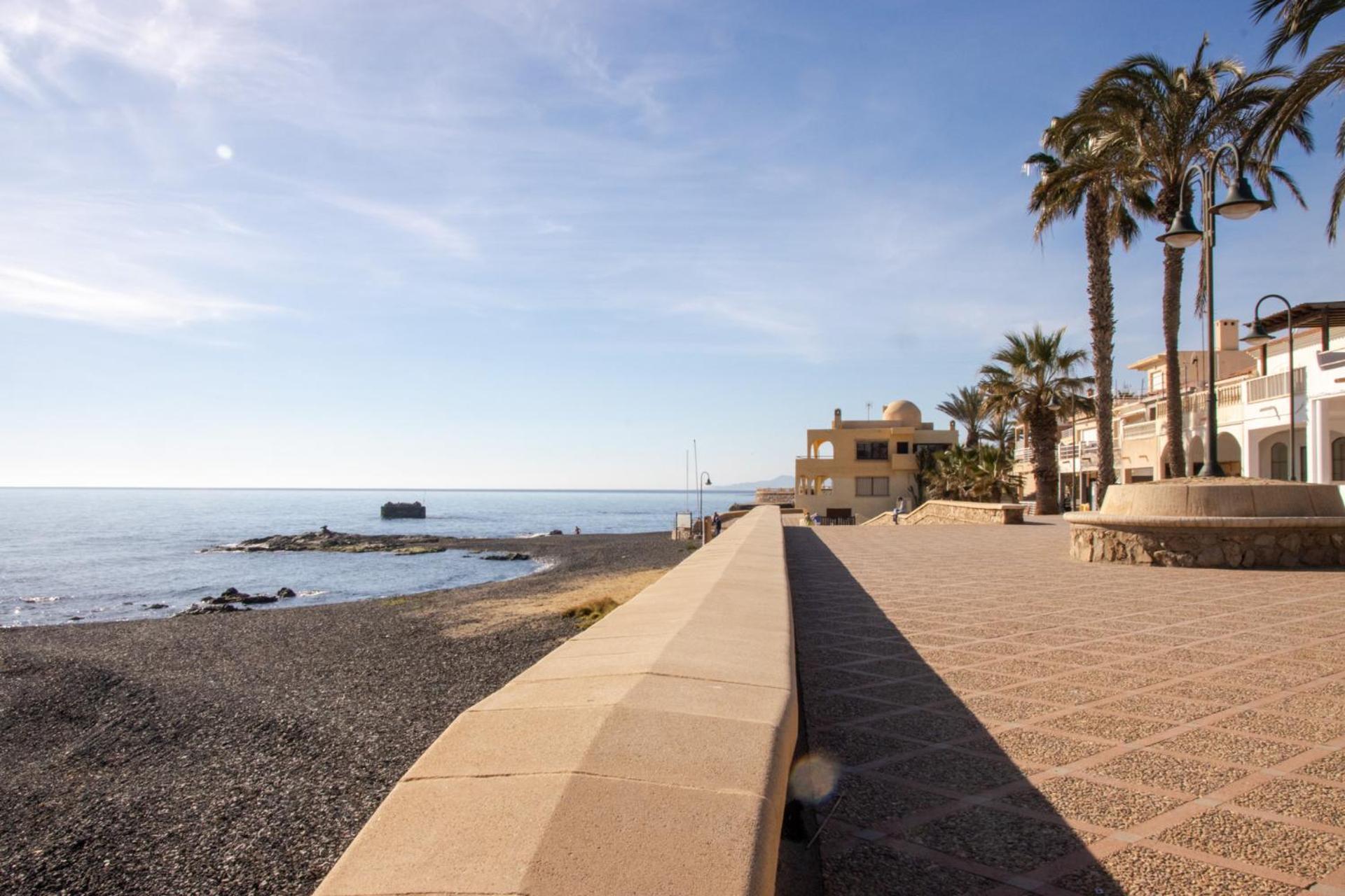 Frente Al Mar -